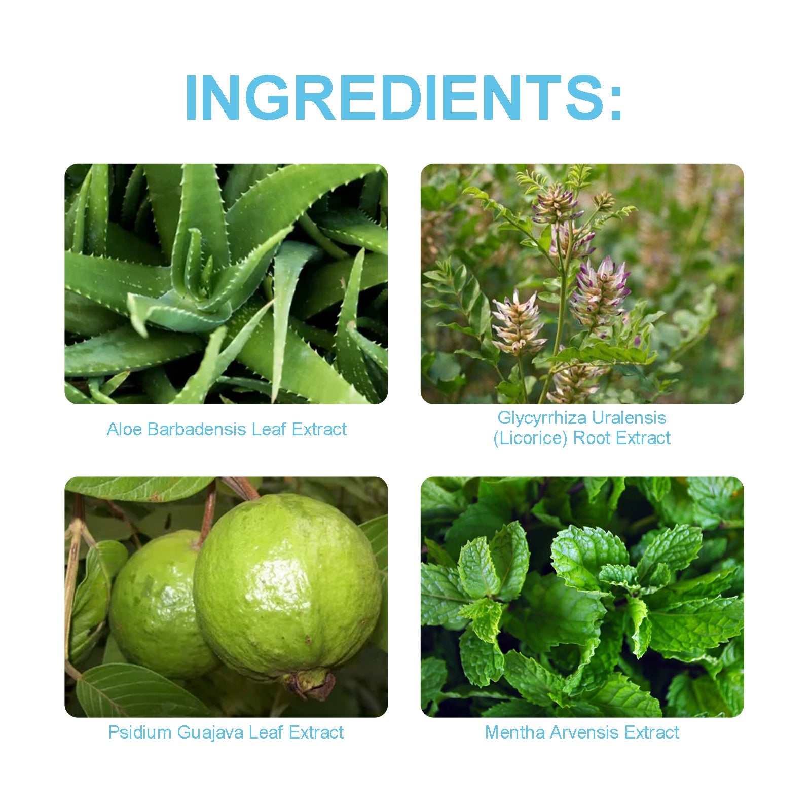 Probiotic Brightening Toothpaste, Deep Cleaning To Remove Odors Care For Teeth Oral Cleaning Care