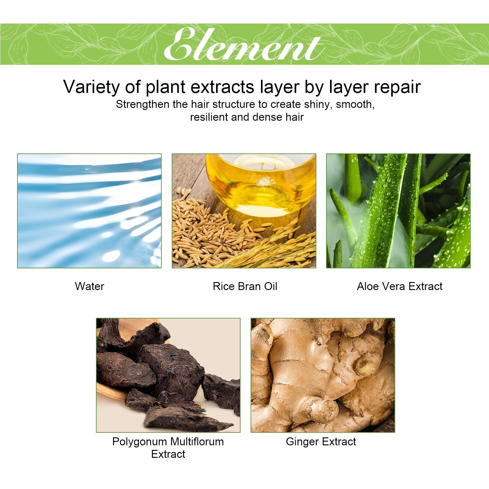 Ginger Care Shampoo Scalp Cleansing, Anti-Break Nourishing Root Strengthening Shampoo