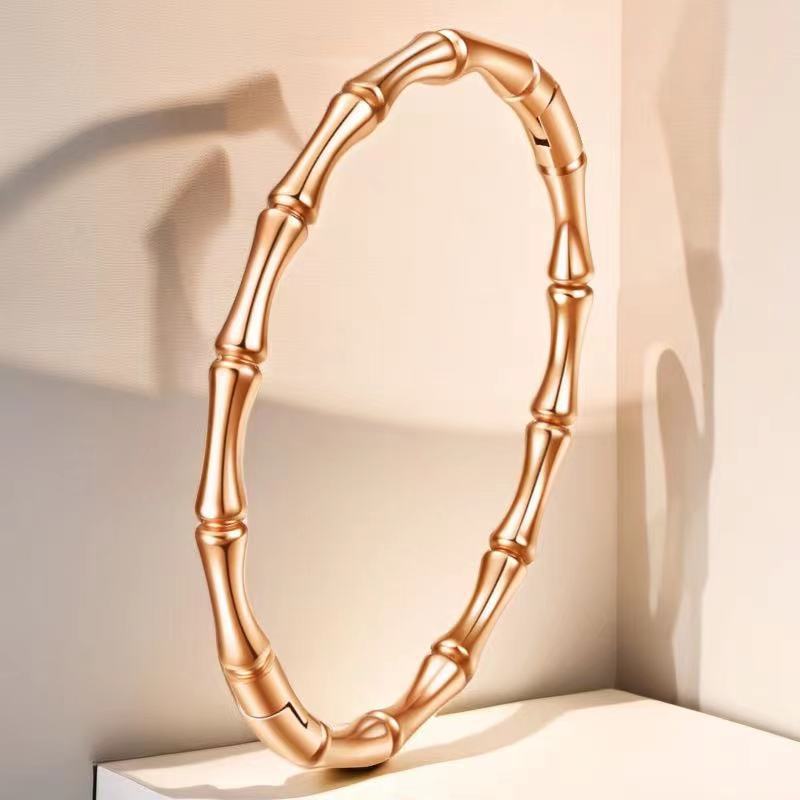 Stainless steel titanium steel bracelet for women non fading electroplated buckle jewelry for women