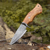 Outrider Damascus Custom Hunting Knife with Exotic Olive Wood Handle
