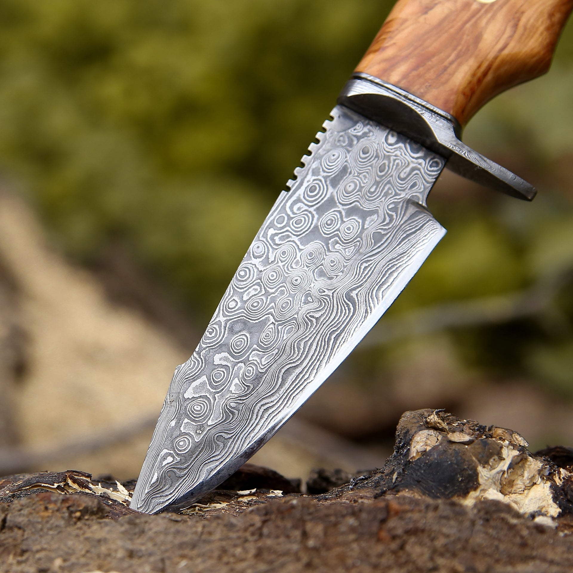 Outrider Damascus Custom Hunting Knife with Exotic Olive Wood Handle