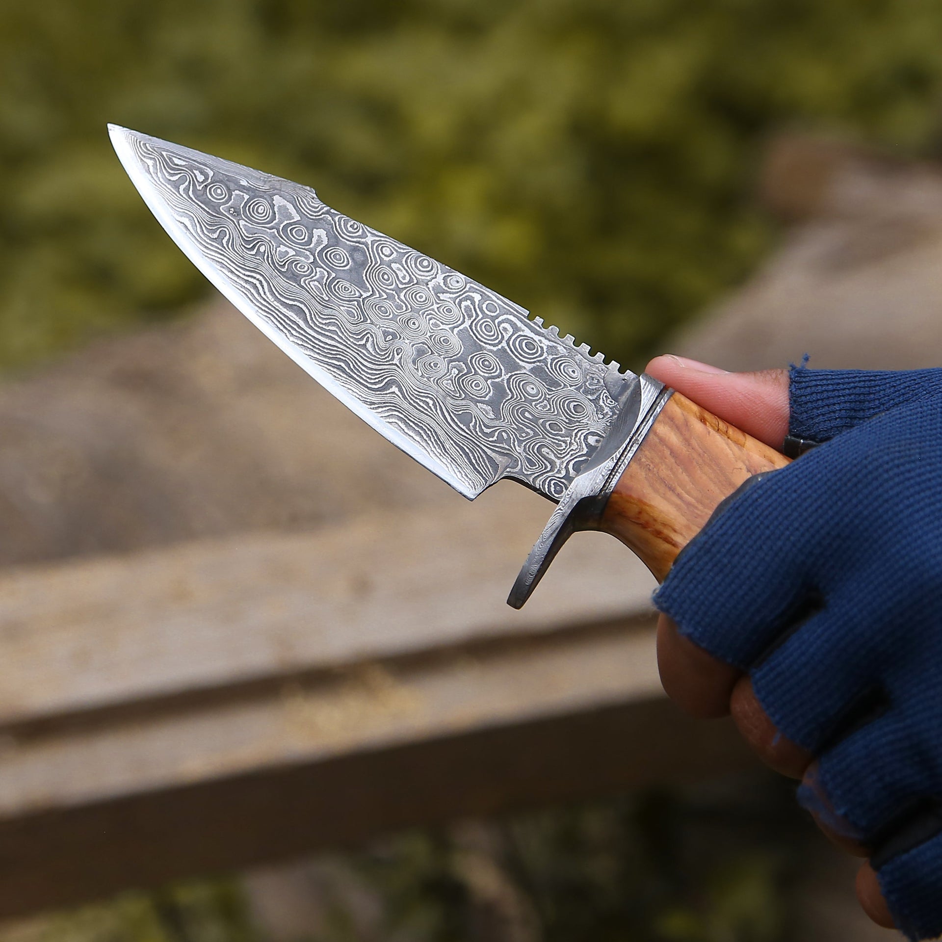 Outrider Damascus Custom Hunting Knife with Exotic Olive Wood Handle