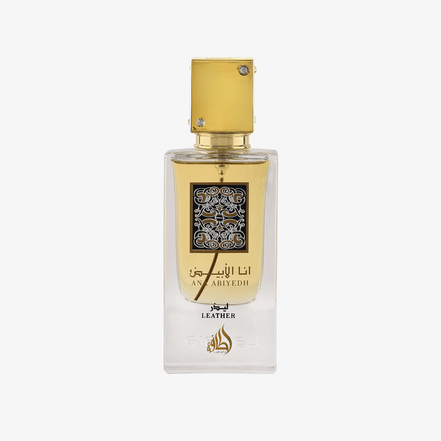 Ana Abiyedh Leather