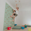 Ceiling Mounted Climbing Ladder