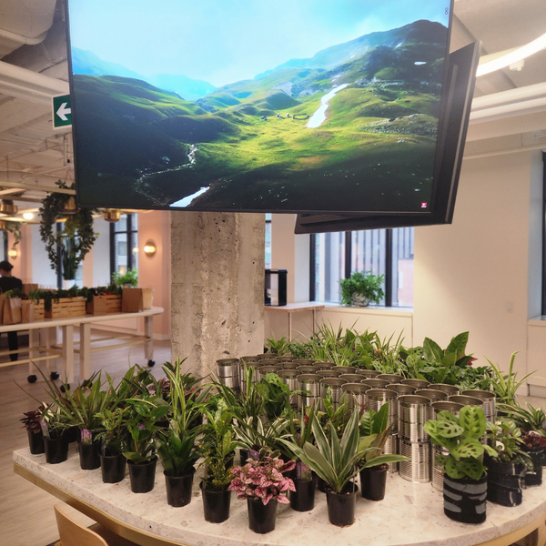 Plant Bar Plantita & Co. Bloom Bar & Studio