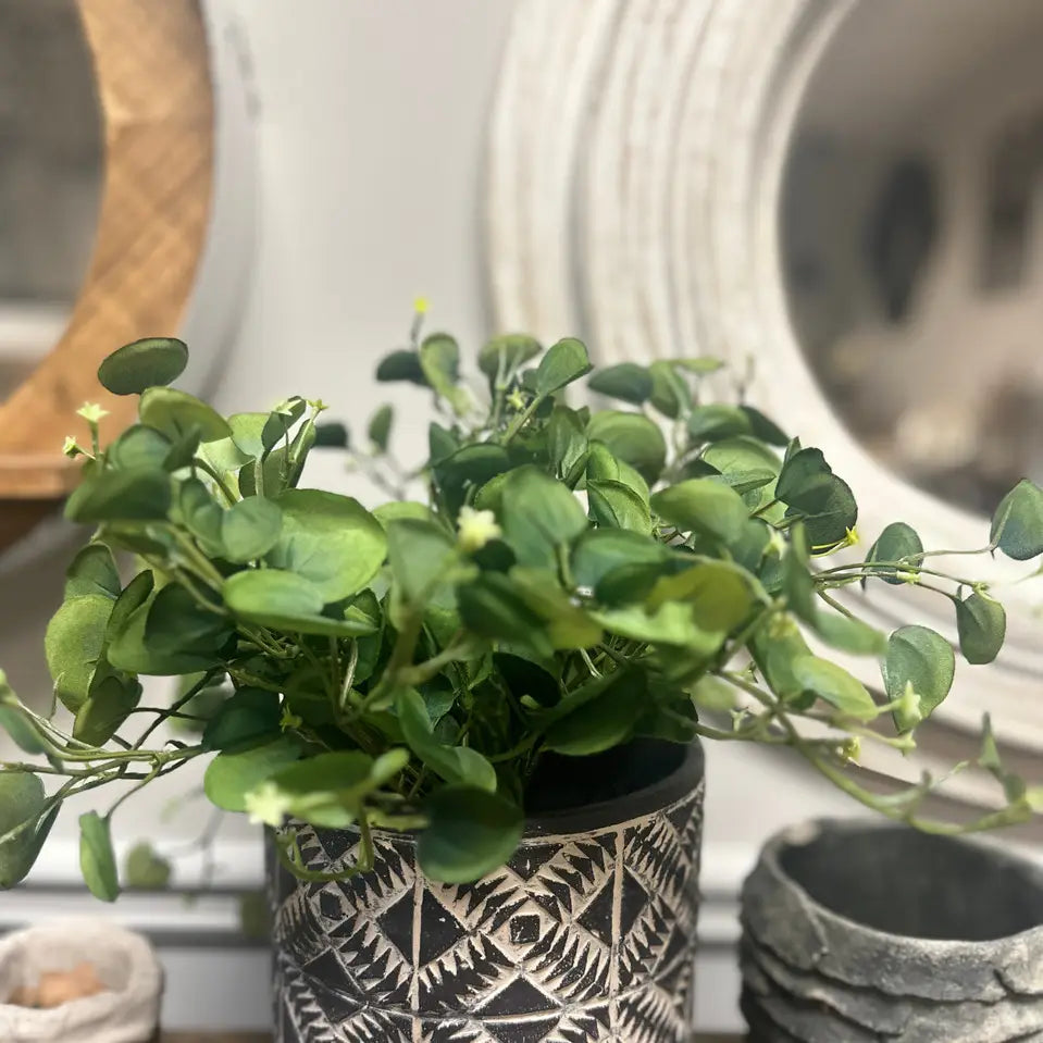 Aboriginal Planter Black