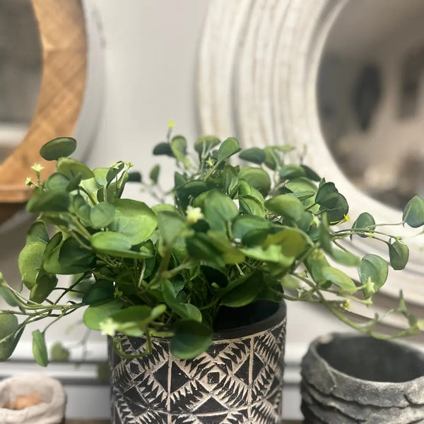 Aboriginal Planter Black