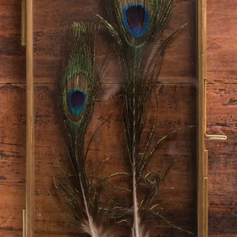 BRASS FRAME WITH HANGING LOOPS 4