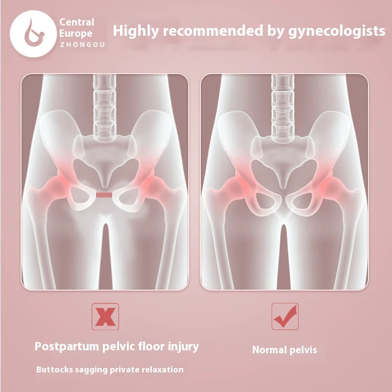 CoreComfort Pelvic Trainer