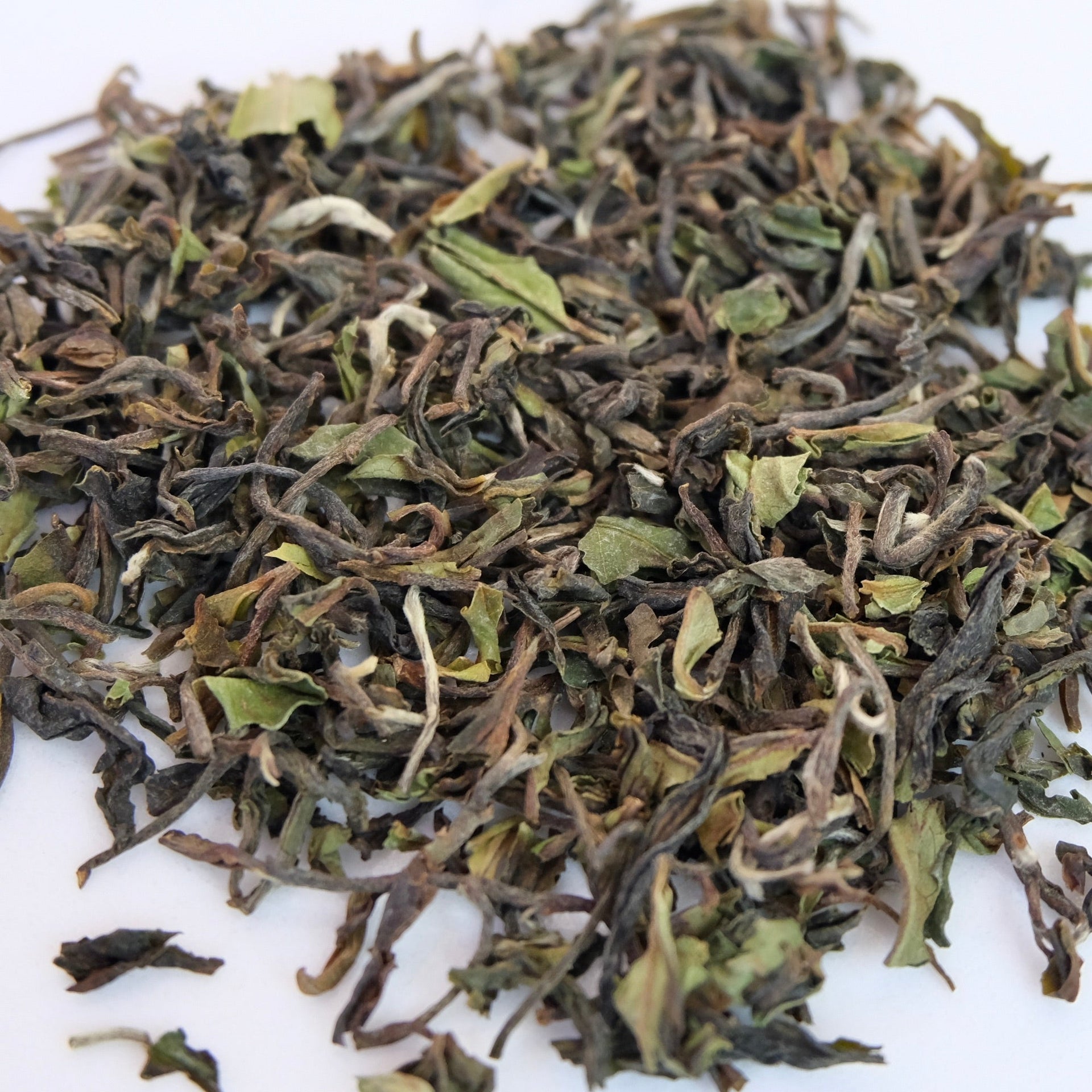 PREMIUM TEA COLLECTION - SAMPLER KIT
