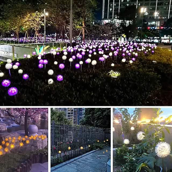 2-Pack: Outdoor Solar Dandelion Lawn Lights
