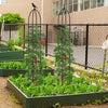 2-Pack Garden Obelisk Trellis for Climbing Plants-Black