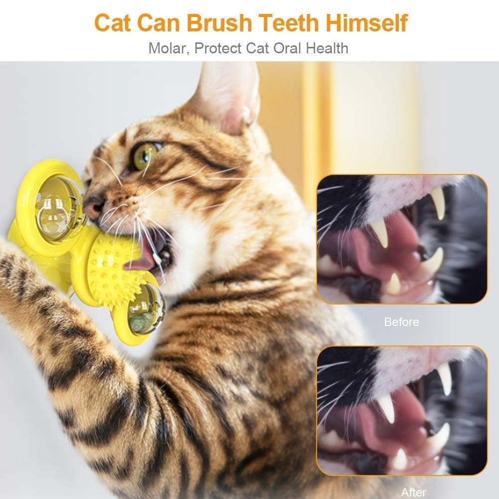 2 PCS Set Interactive Cat Toy Windmill Portable Scratch Hair Brush Grooming Shedding Massage Suction Cup Catnip Cats Puzzle Training Toy Portable Turntable Rotating Cat Toy Scratching Tickle Hair Brush