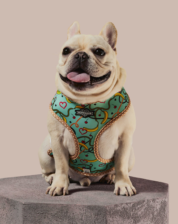 Sprinkle Me Blue Reversible Harness