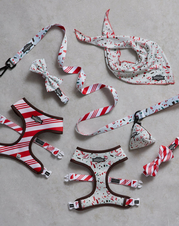 Peppermint Bark Reversible Harness