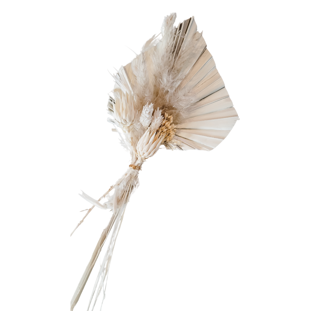 Cream Petite Palm Bundle