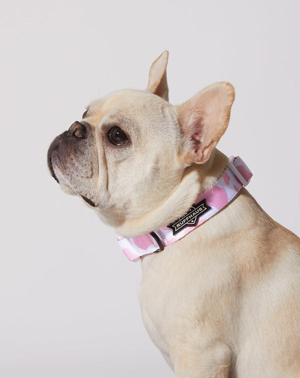 Pink Moo'd Collar & Bowtie