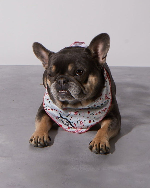 Peppermint Bark Cooling Bandana