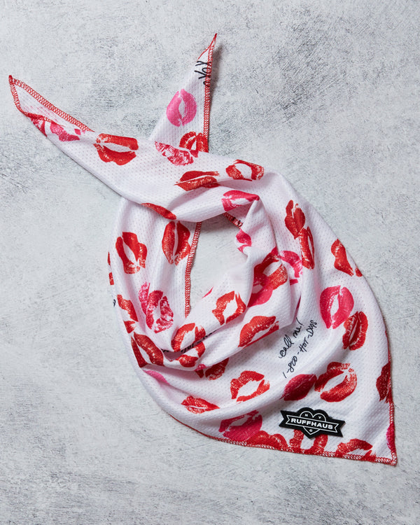 Smooch My Pooch Cooling Bandana