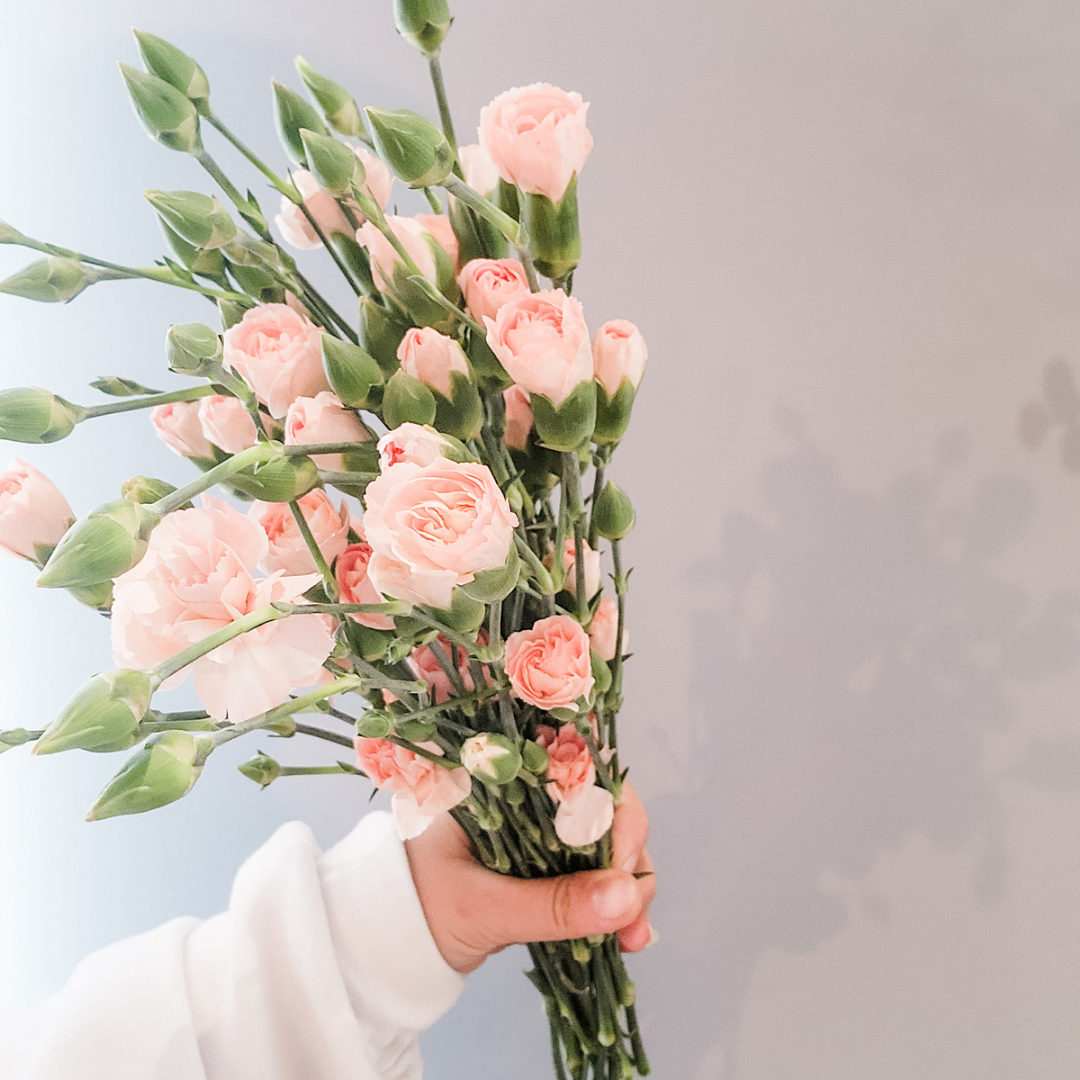 Spray Carnations Peach