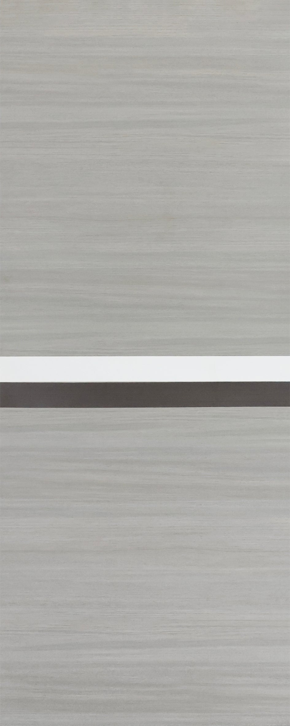CRAZY ELF Melamine Integrated Door Slab - 28