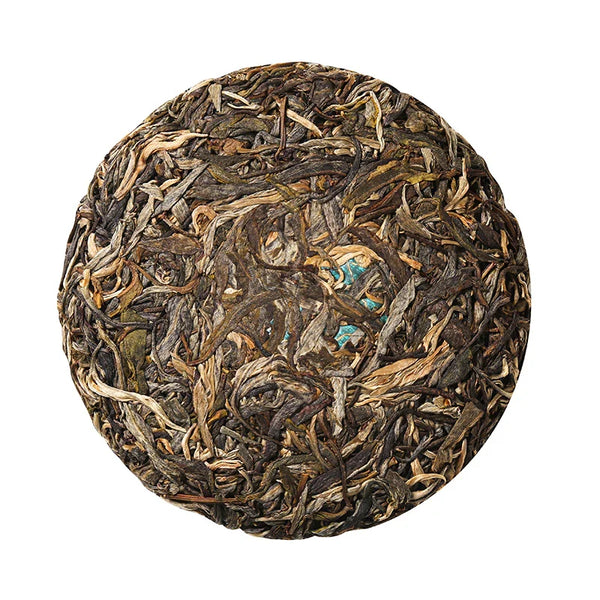 2024 MOON BEAR white2tea - WHITE RAW PUERH HYBRID