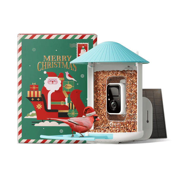 Birdfy Feeder with Solar Panel - Solar-Powered Smart Bird Feeder with Camera