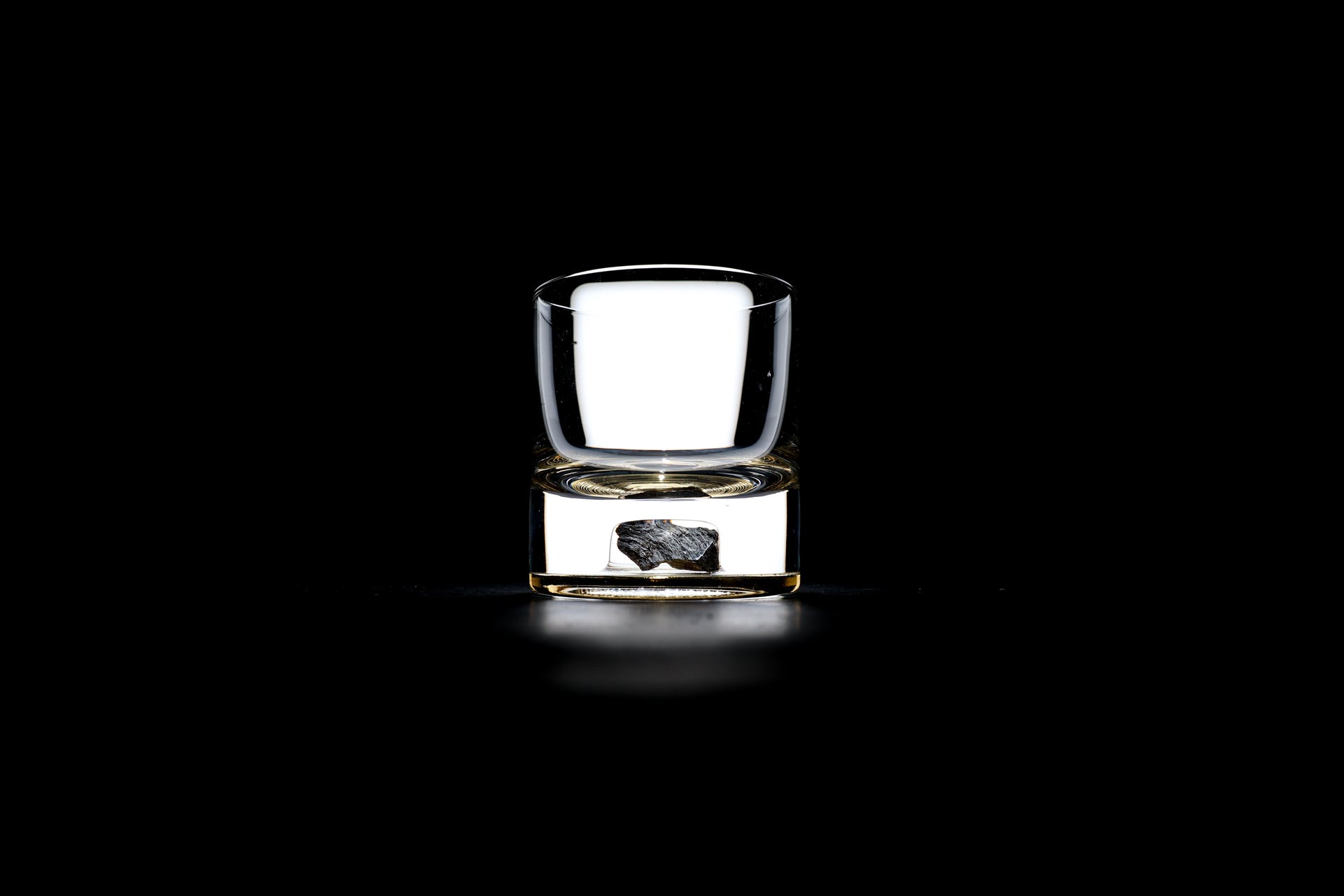 Dinosaur Bone Shard Tumbler - Set of 2