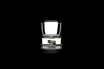 Dinosaur Bone Shard Tumbler - Set of 2