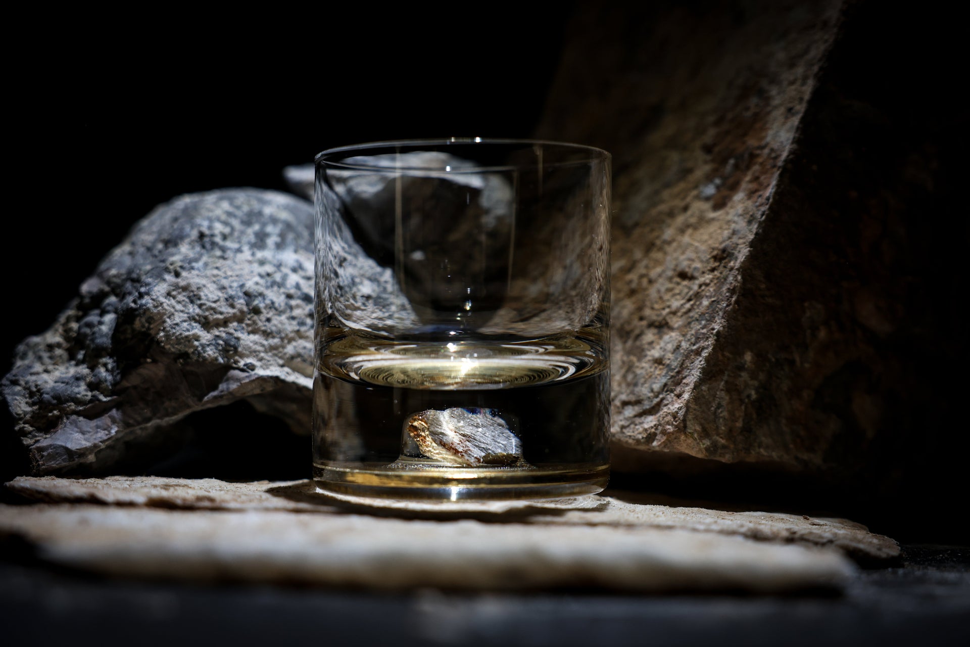 Dinosaur Bone Shard Tumbler - Set of 2