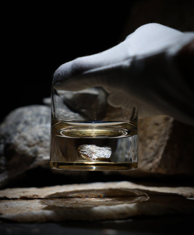 Dinosaur Bone Shard Tumbler - Set of 2