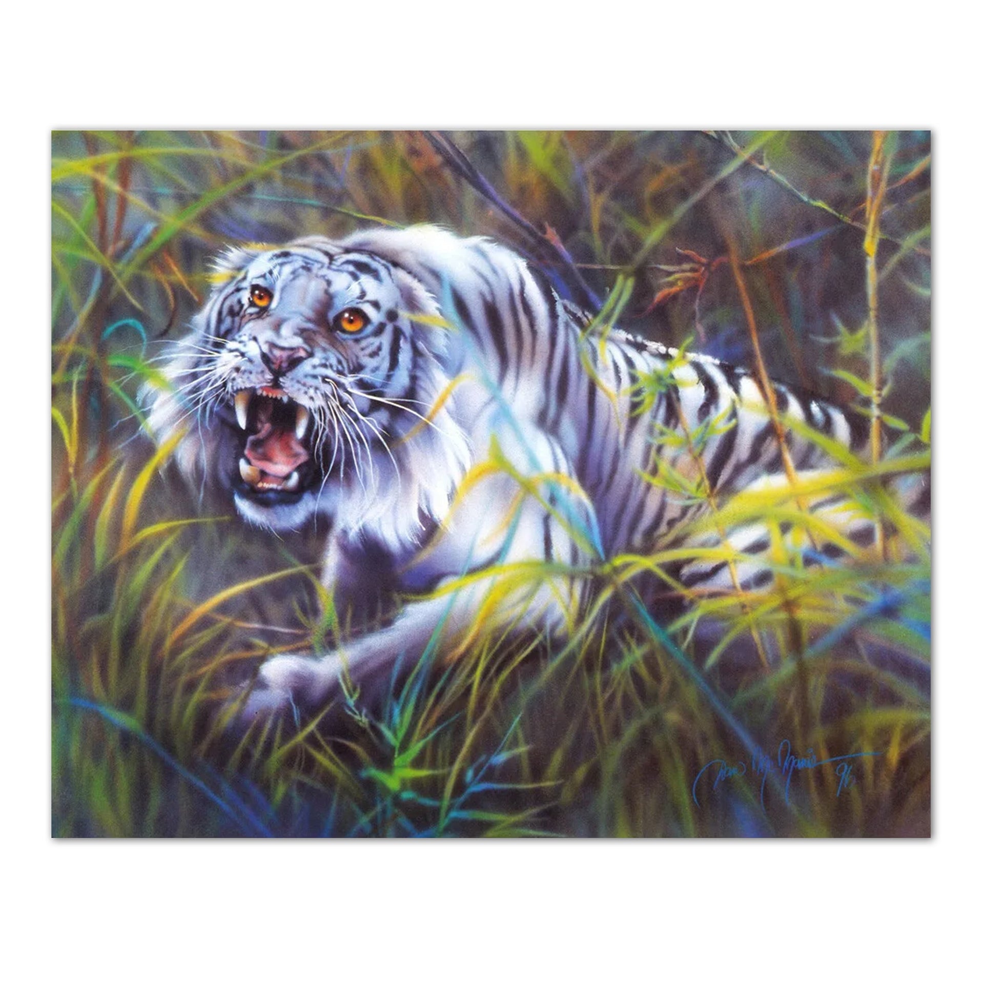 White Tiger Wall Art – Tropical Cat Artwork 16x20 Inch Vivid Print