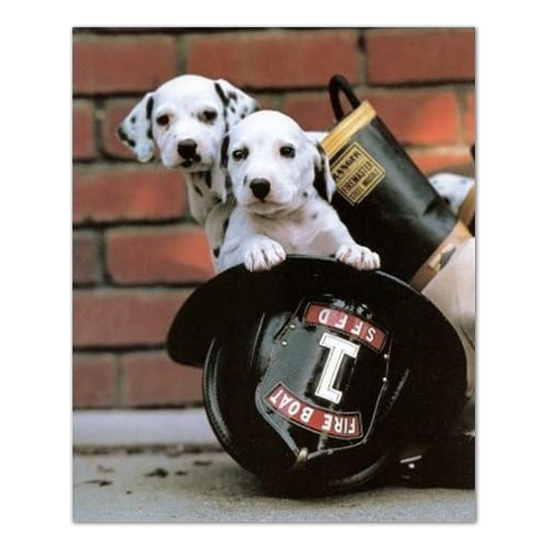 Firefighter Puppy Art – Fire Boat Dog Wall Print | Ready to Frame Lithograph