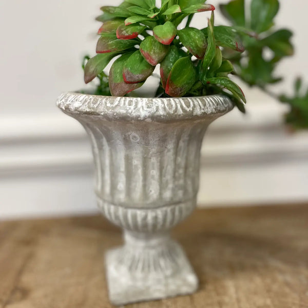 CEMENT URN PLANTER