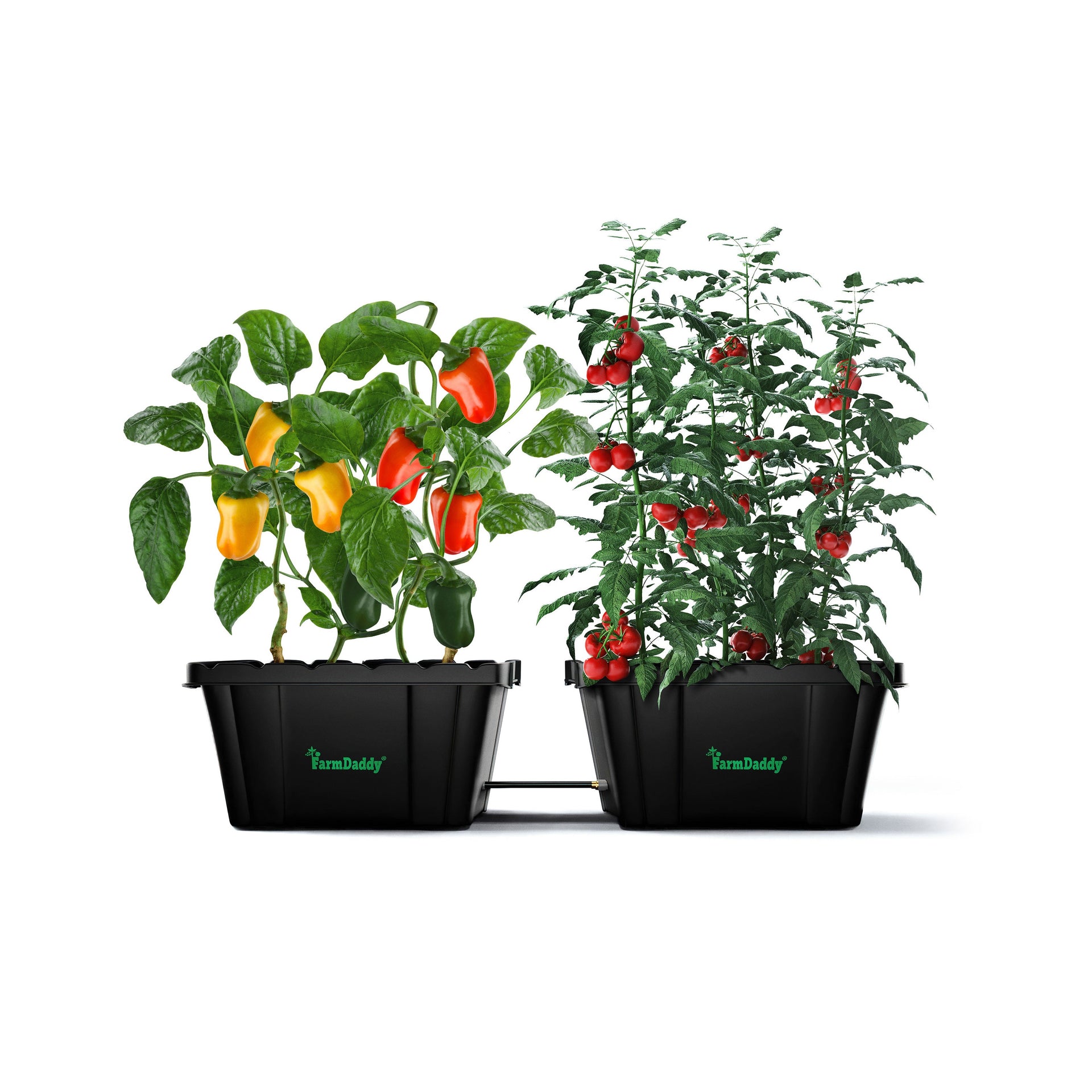 Farmdaddy 2-Planter Self Watering Garden System