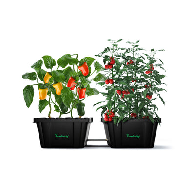 Farmdaddy 2-Planter Self Watering Garden System