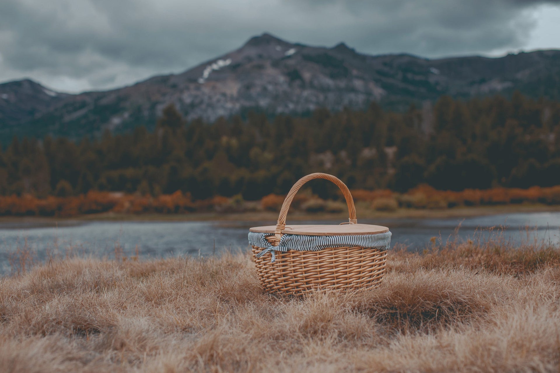 Country Picnic Basket
