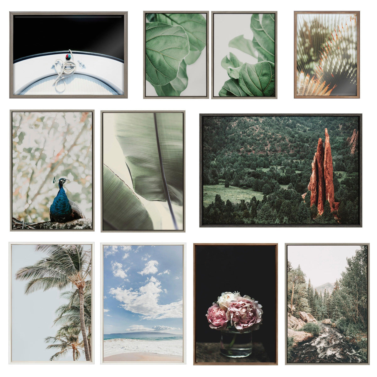 Sylvie Eucalyptus Leaves Framed Canvas by Alicia Abla