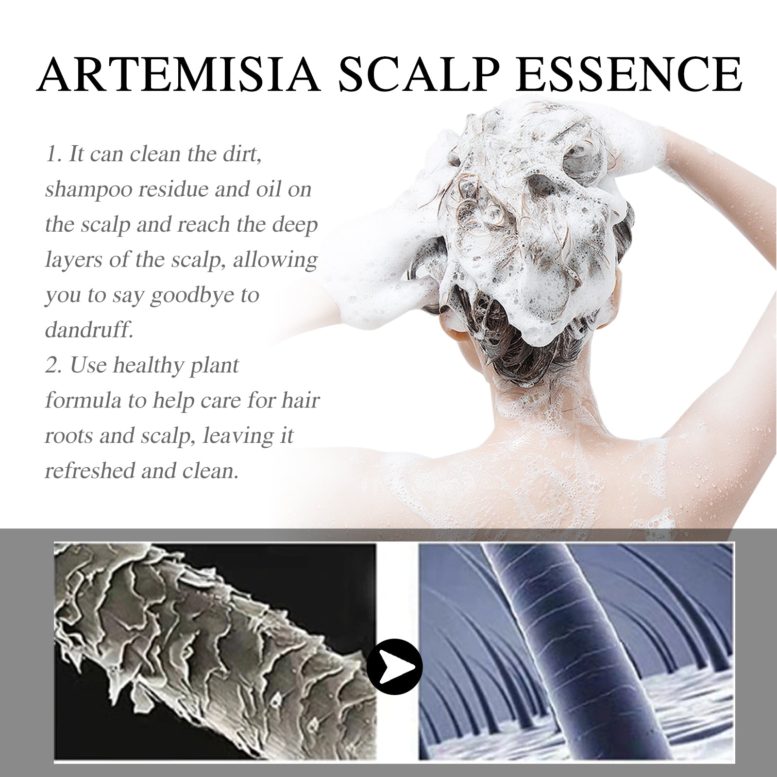 Artemisea Anti-Dandruff Scalp Pigment, Clean Scalp, Relieve Itching And Oil Control, Repair Frizz Damaged Hair Care