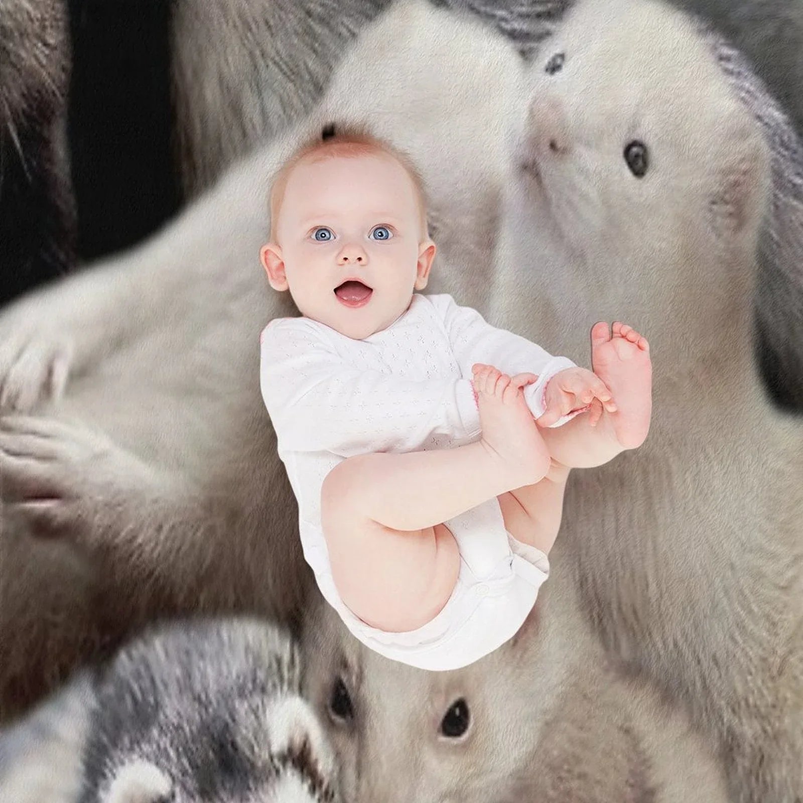 Ferrets Throw Blanket