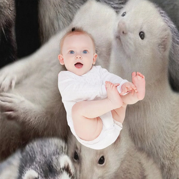 Ferrets Throw Blanket