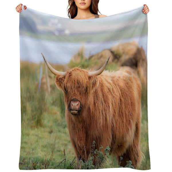 Long Haired Highland Cattle - Highland Cow, Highlander, Heilan Coo - Thurso, The Highlands, Scotland All-season Throw Blanket
