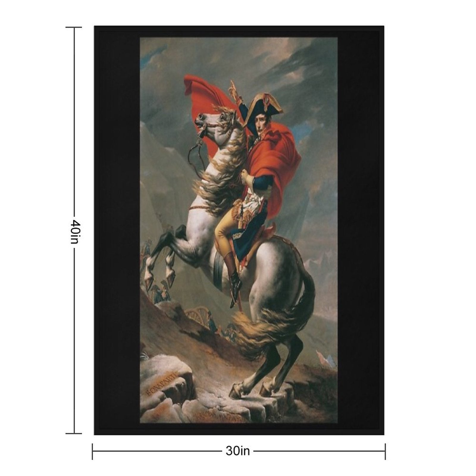 Napoleon Bonaparte Anti-pilling Throw Blanket