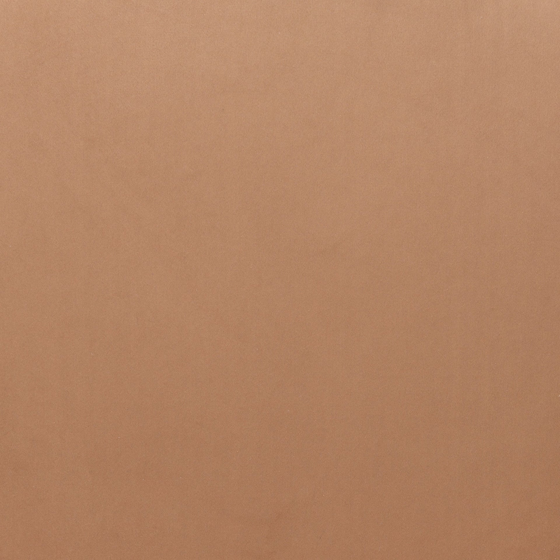 Ayr Dining Chair (Set of 2) Tan