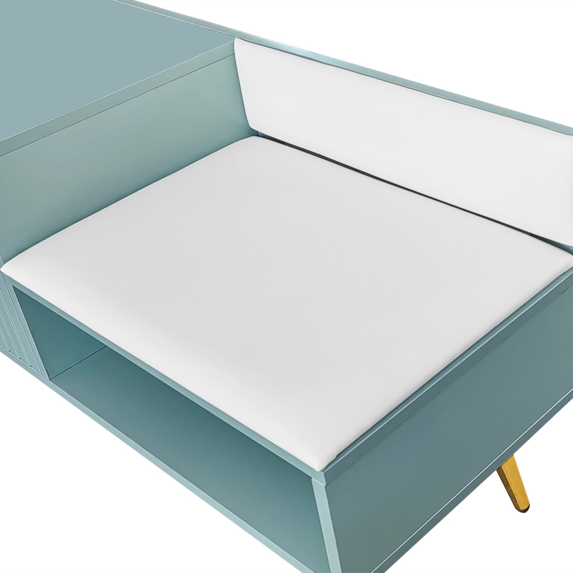 Modern Shoe Storage Bench with Hidden Storage and Upholstered Cushions for Bedside, Living Room and Entryway (Tiffany Blue)