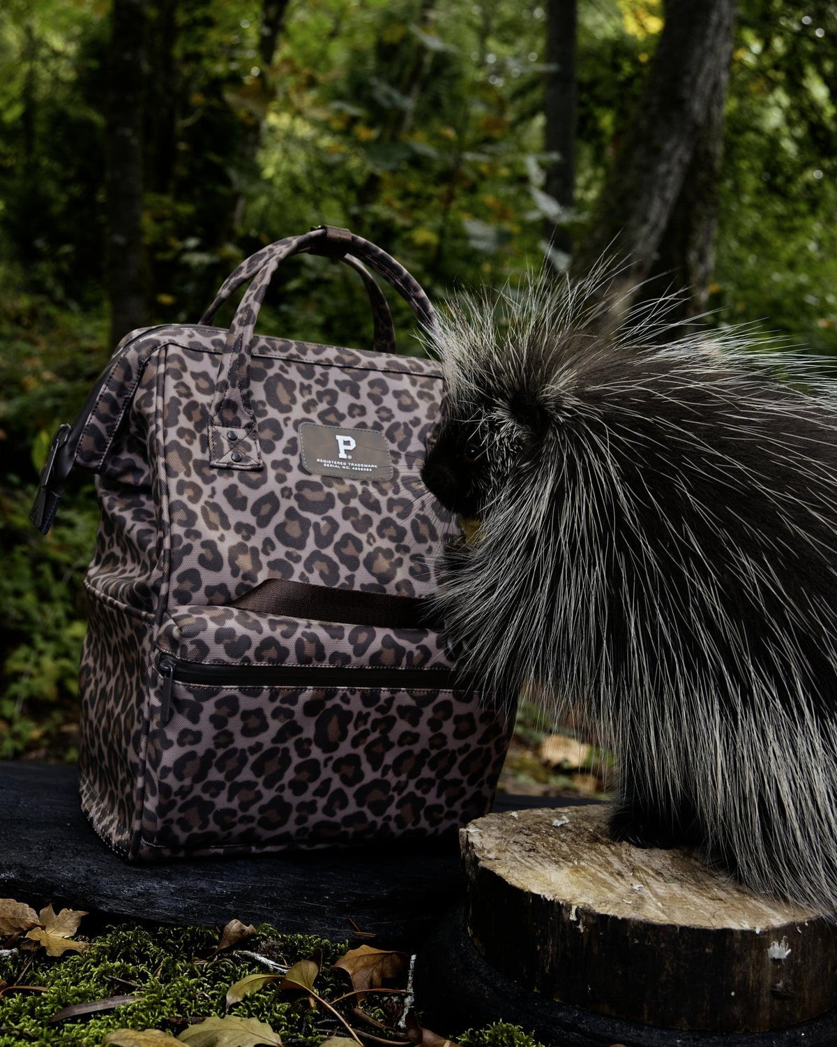 Cascade Backpack - Kids