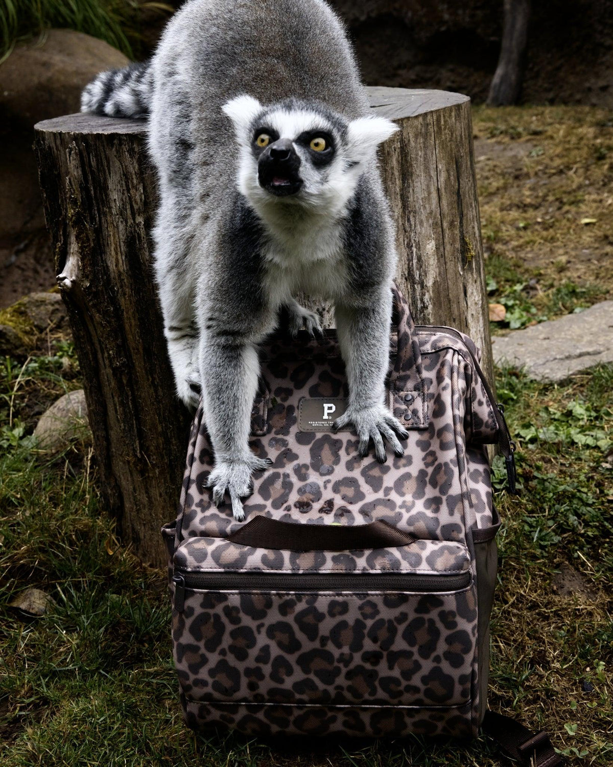 Cascade Backpack - Kids