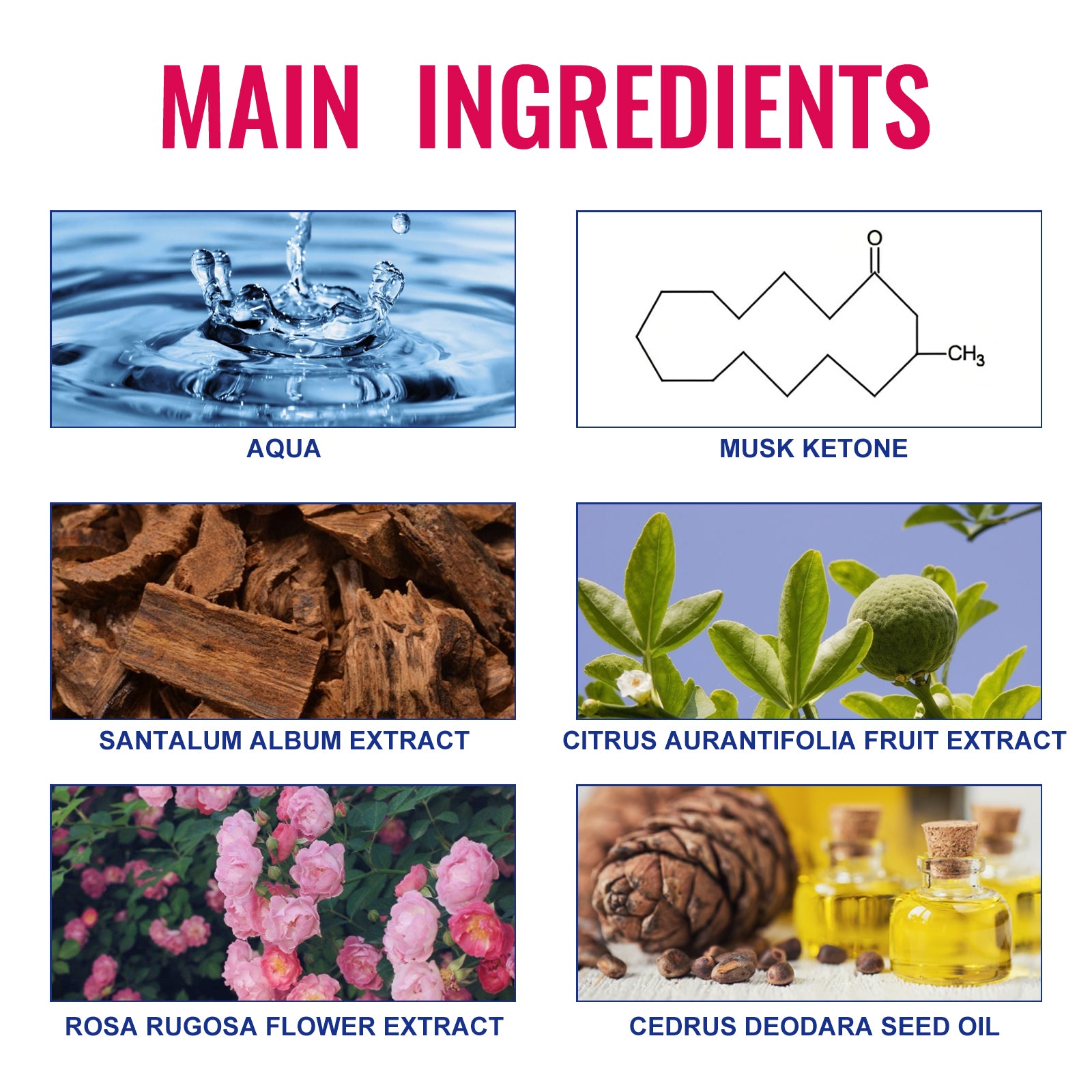 Charm Perfume, Women With Light Fragrance Wrist Neck Legs Lovers Body Fragrance Natural Clear