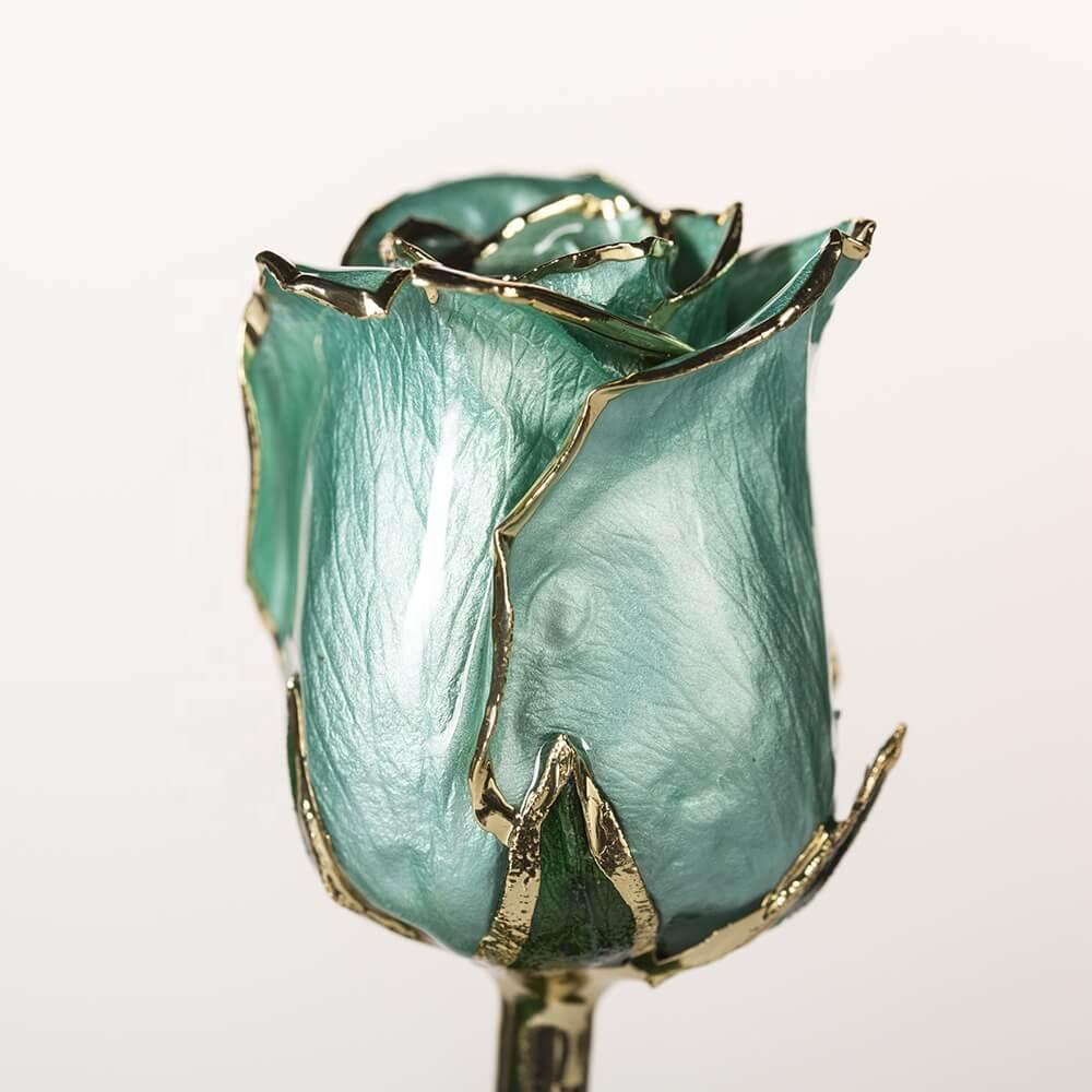 Umber Signature Selection Box - 24K Gold Rose (Choose Your Color)
