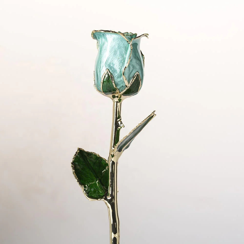 Umber Signature Selection Box - 24K Gold Rose (Choose Your Color)